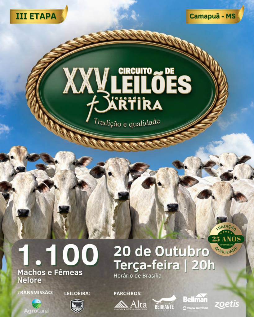 Fazendas Bartira ofertam machos e fêmeas nelore nesta terça-feira no AgroCanal