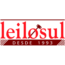 LeiloSul