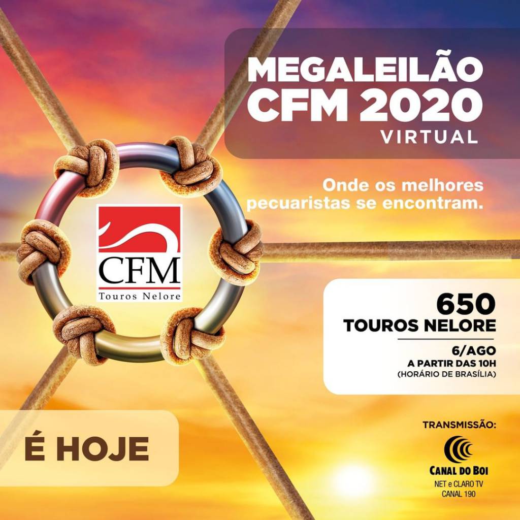 AO VIVO: Mega Leilão CFM 2020