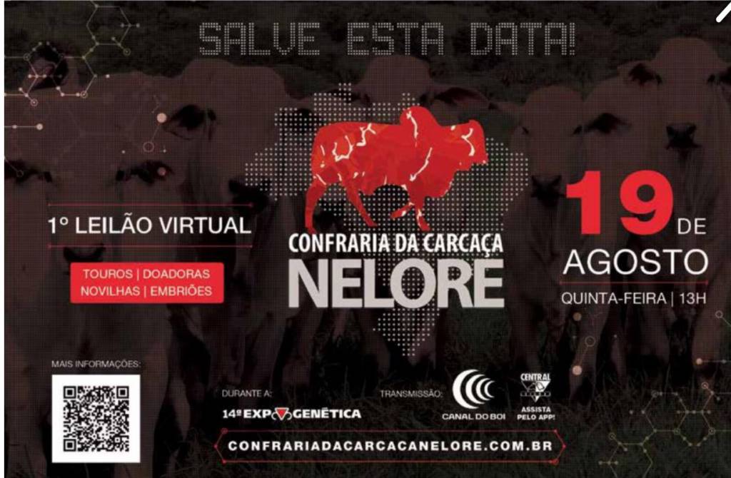 Canal do Boi transmite 1º Leilão Confraria da Carcaça Nelore quinta (19)