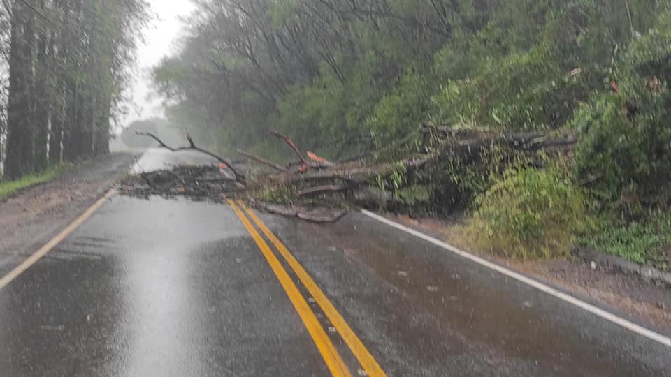 Cidades do Paraná têm chuva acima de 95mm no final de semana