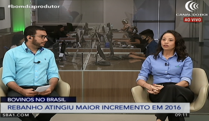 Pesquisadora analisa redução do rebanho bovino no país