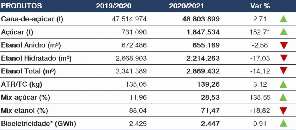Estimativa 2020/2021. Elaborado por BioSul