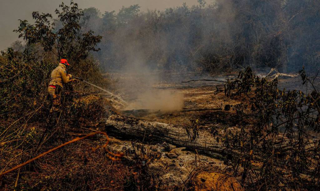 Governo autoriza envio da Força Nacional para atuar no Pantanal de MS