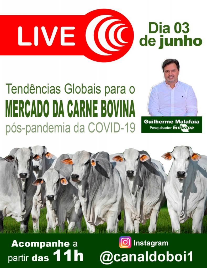 Canal do Boi realiza hoje live com o tema “Tendências Globais Para o Mercado da Carne Bovina Pós-Pandemia da Covid-19”