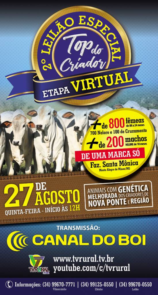 AO VIVO: 2º Leilão Especial Top do Criador