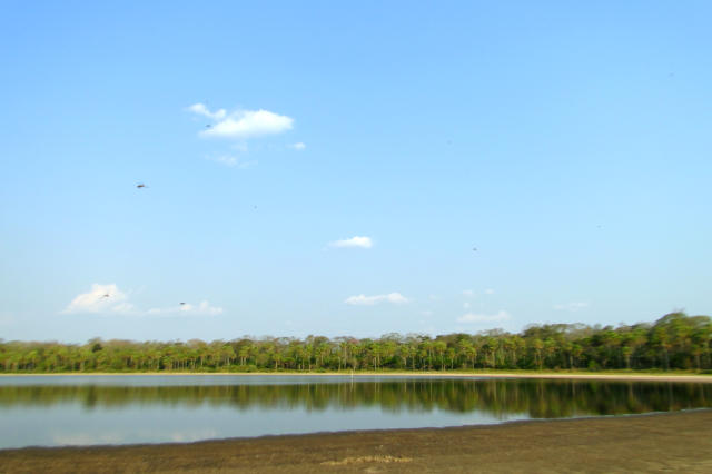 Aprovado cronograma de trabalho da Comissão do Pantanal