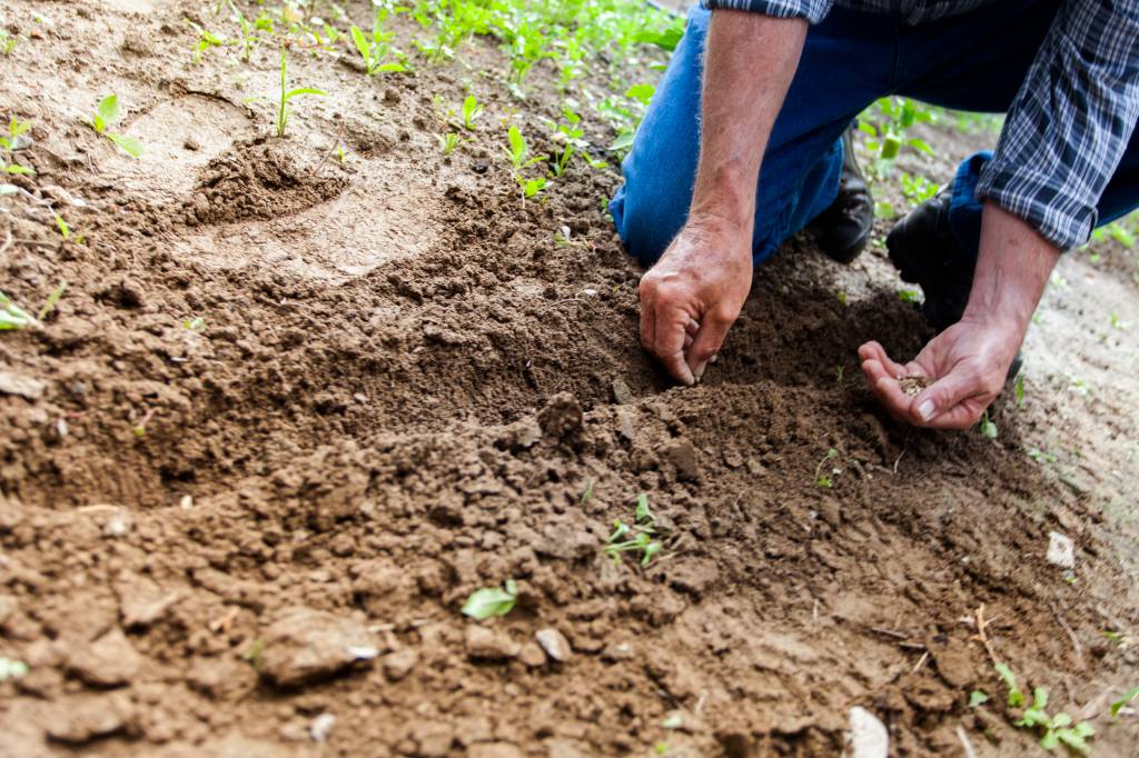 Governo entrega mais de 17 mil títulos de propriedade rural no Maranhão