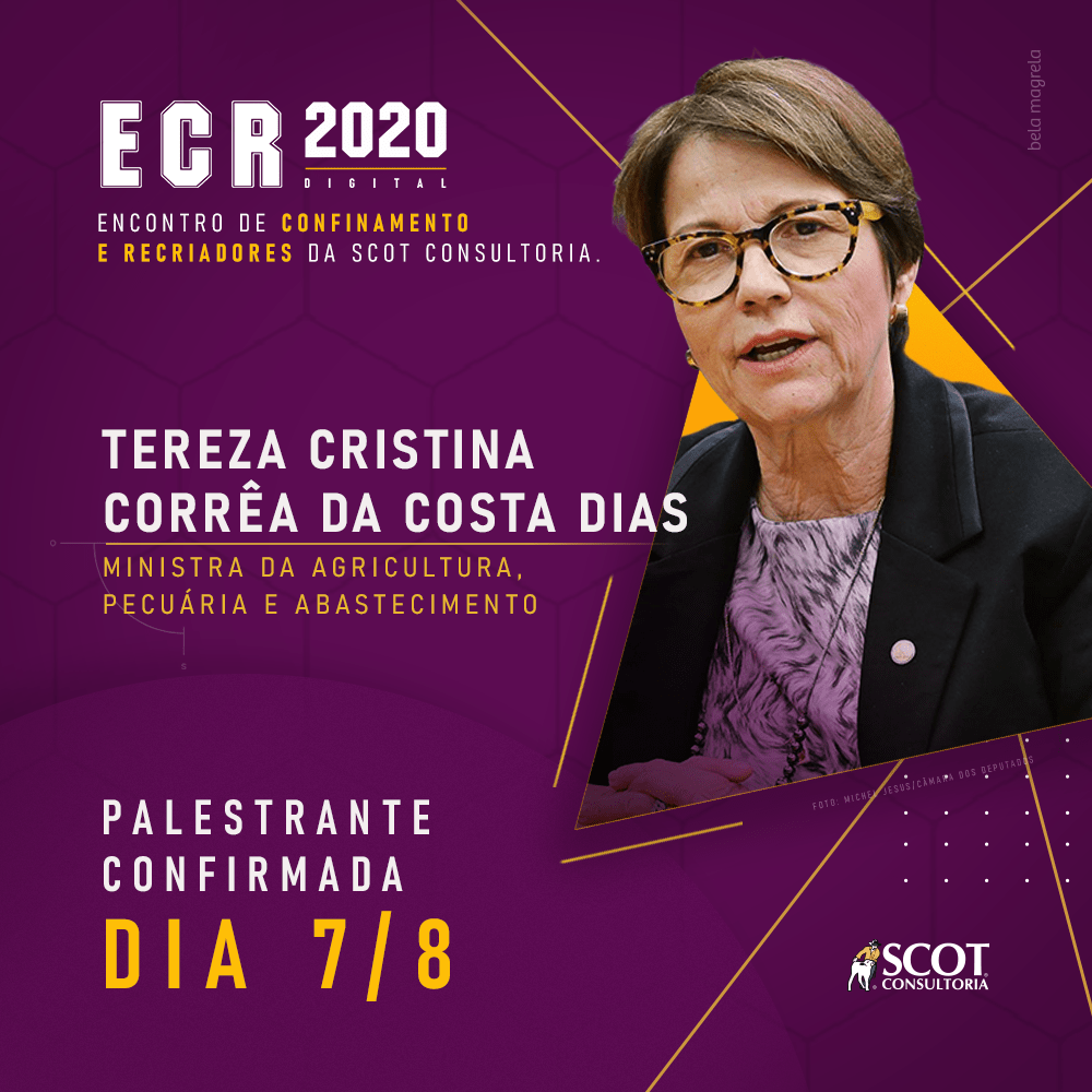 Ministra Tereza Cristina fará palestra na ECR 2020 Digital nesta sexta