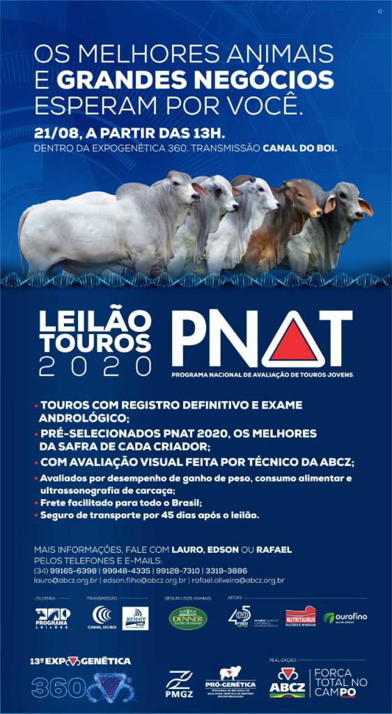 AO VIVO: Leilão Touros PNAT 2020