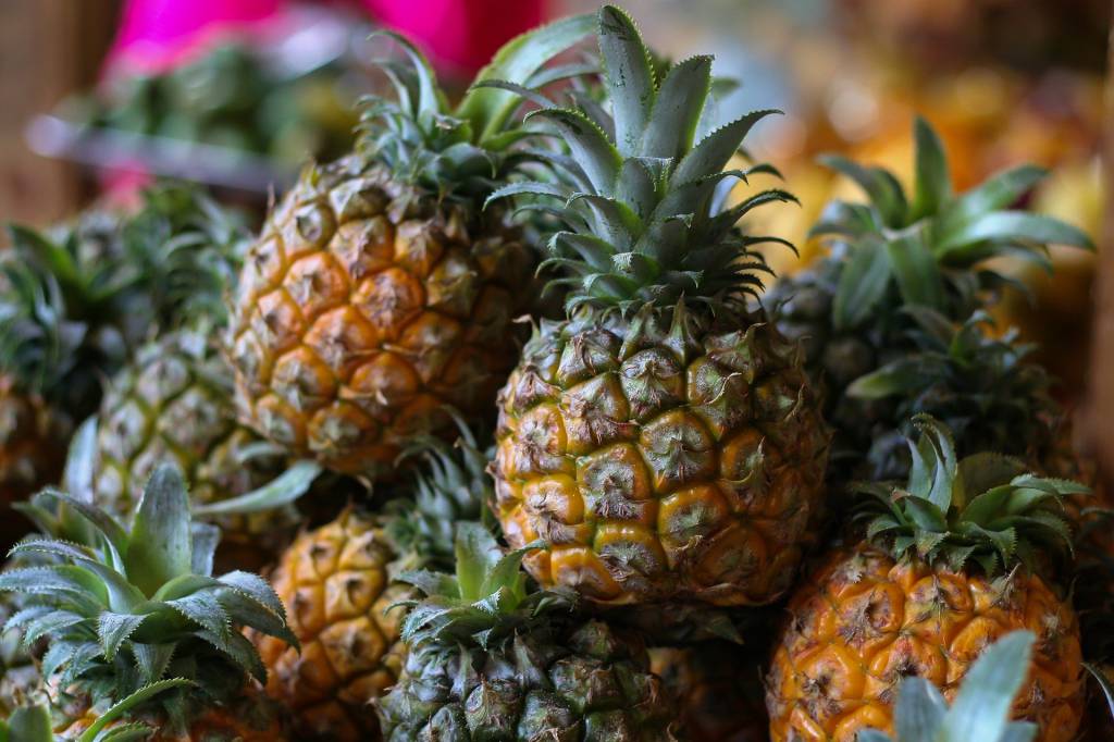 Governo publica lista de produtos da agricultura familiar com desconto em maio