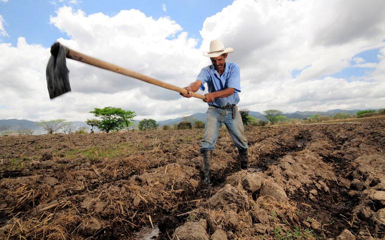 Dados do Cadastro Geral de Empregados e Desempregados mostram impactos para o agronegócio