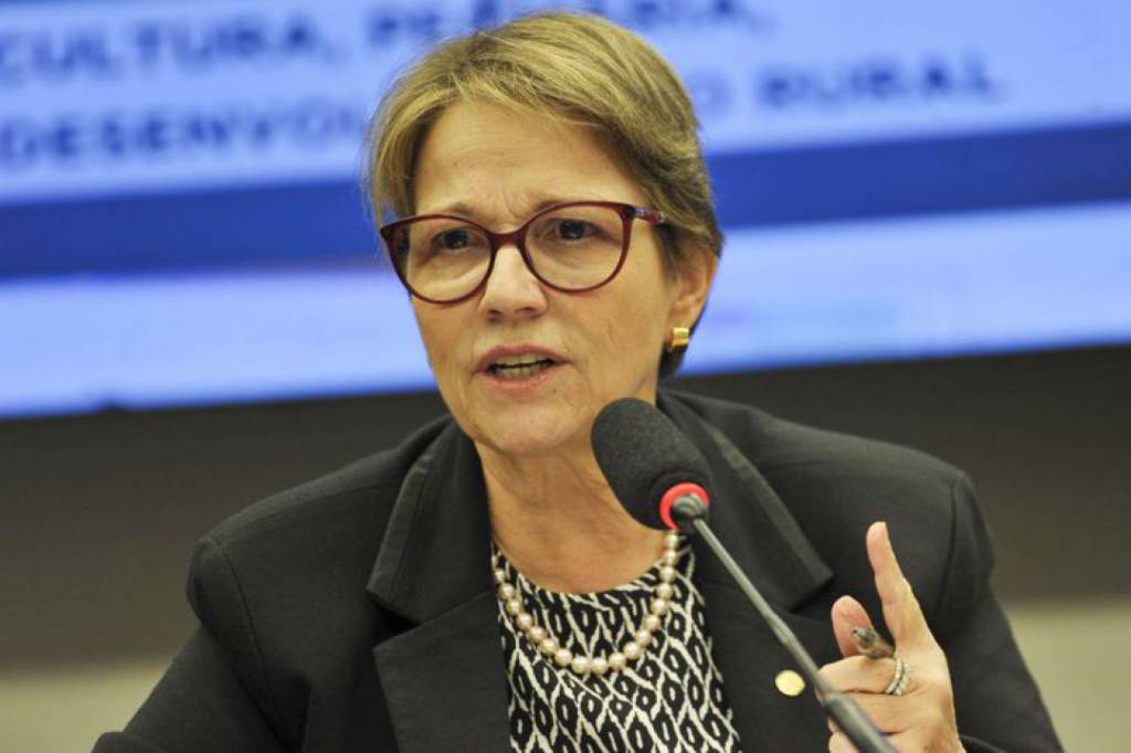 Abastecimento no Brasil está garantido
